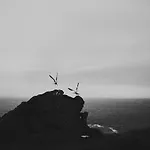 Zarey 게스트하우스 *