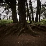 Zarey * 올레이로스