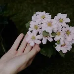 Zarey 게스트하우스 *