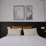 Zarey 올레이로스