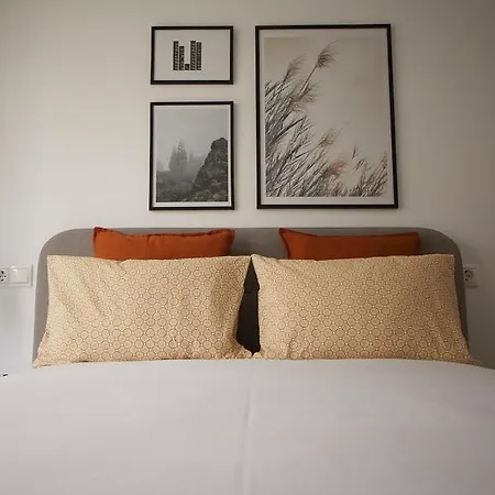 Gasthuis Zarey Oleiros