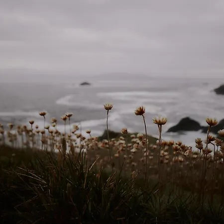 Vendégház Zarey Oleiros