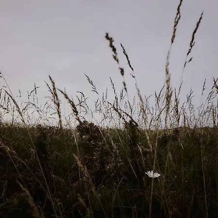 Zarey Vendégház Oleiros