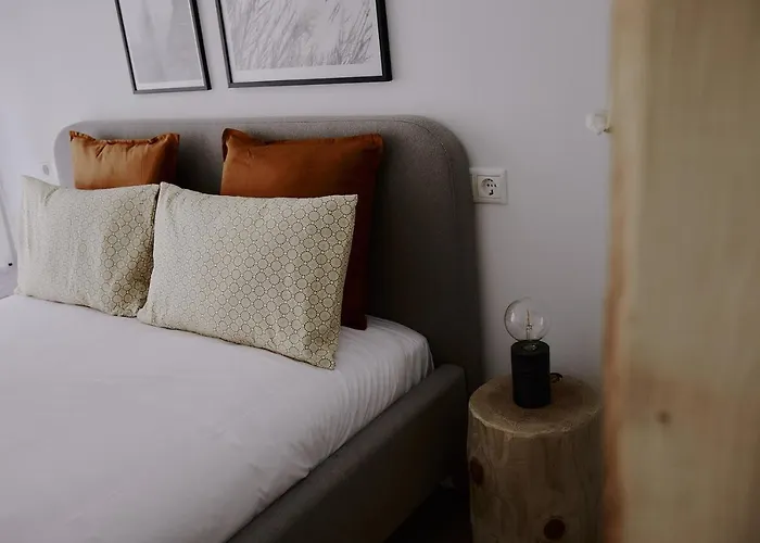 Zarey Konukevi Oleiros