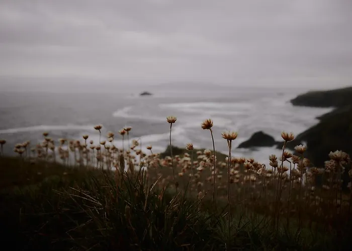 بيت ضيافة Zarey أوليروس