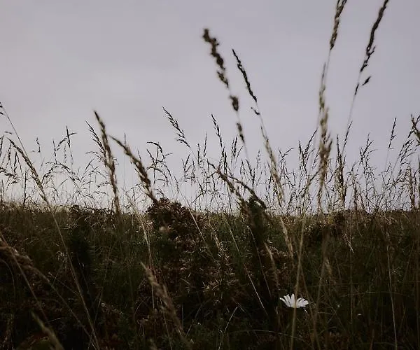 Zarey بيت ضيافة أوليروس