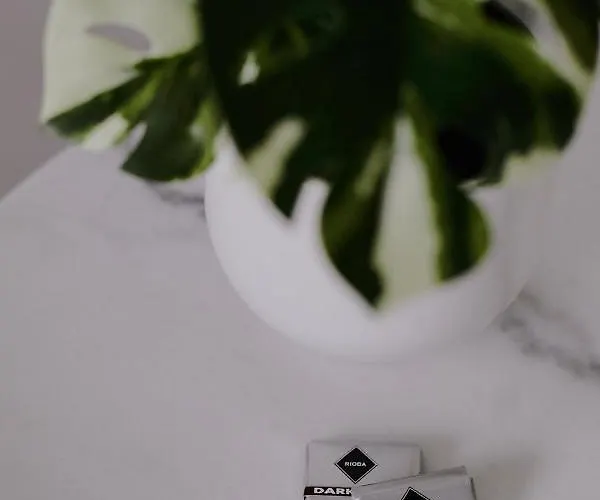 Zarey بيت ضيافة