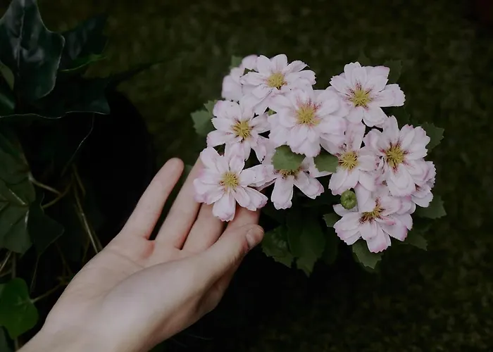 Zarey بيت ضيافة *